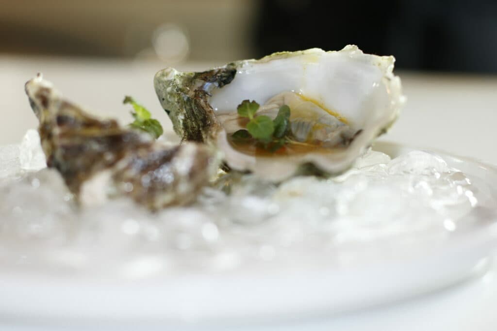 Oyster bar and clandestine cocktail bar image 6