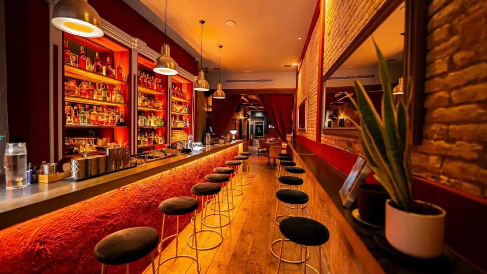 Sophisticated bar and bistro image 3